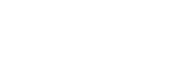 Media Pioneer